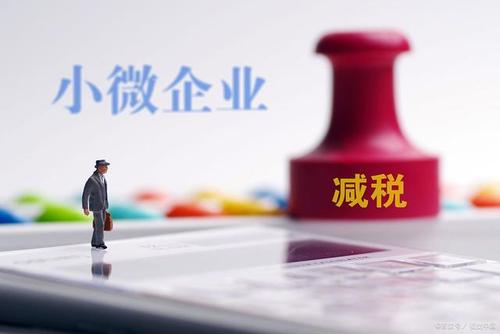 至年底，山東免除個(gè)體工商戶(hù)和小微企業(yè)免一切稅費